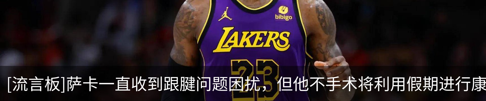 最新动态